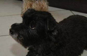 Ferienwohnung Schadler - Foto 22