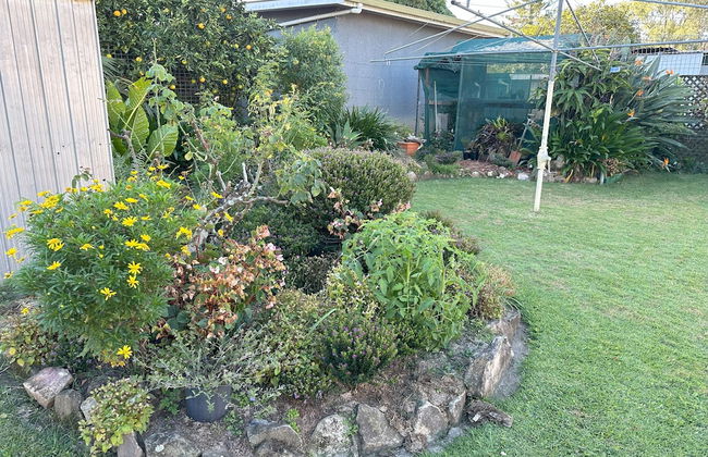 Ryan St Apartments - Photo 24