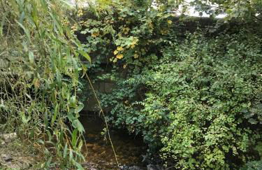 Squirrel cottage - Foto 30