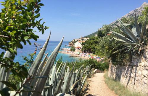 Villa Antares Pisak - Foto 49