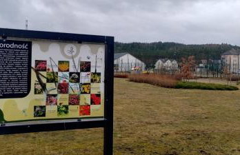 Apartament przy lesie - Photo 37