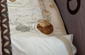 Archè Domus - Foto 41