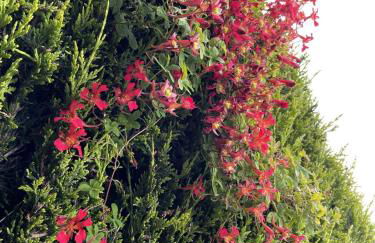 Galloway Farmstay Claunch - Foto 33