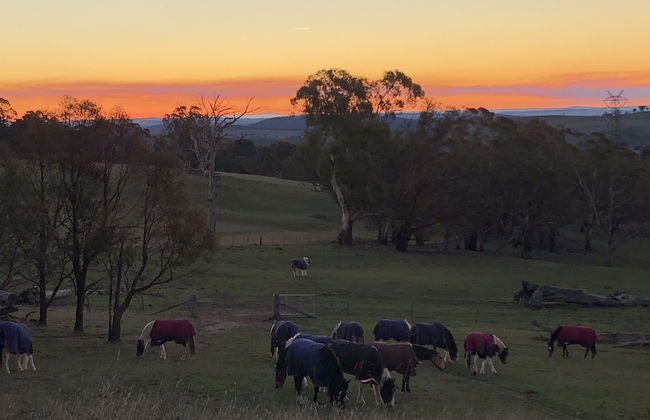High Country Trail Rides & Farm Stay - Foto 1