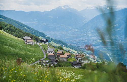 Ferienwohnungen Wiesbauer - Foto 42