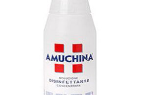 Carrubo - Giardino in città - Foto 17