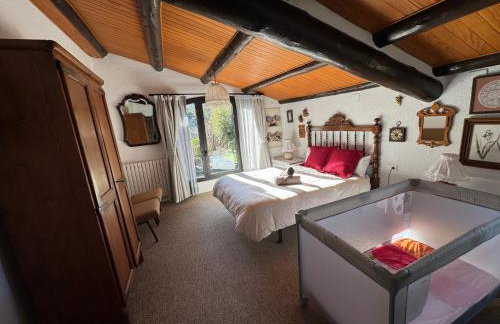 Masia Cap del Roc - Photo 16