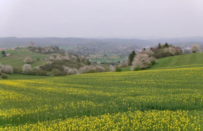 Holiday Home With Private Terrace in Gehren - Foto 35