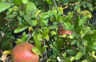 Spacious Home Steps from Huge Park and Outdoor Fun - Foto 39