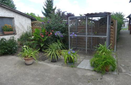 Ferienwohnung am Kloster Drübeck - Foto 13