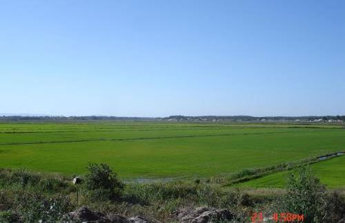 Comporta beach house - Foto 28