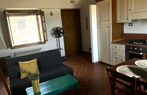 Podere Le Volpaie - Arancia - Foto 18