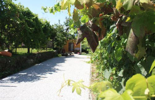 Casa Matreiro - Foto 47