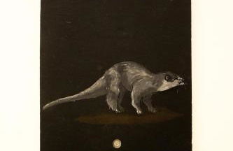 Casa de Campo Vale do Ceira - Foto 79