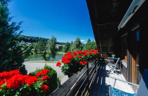 Ferienwohnungen Am Skilift - Foto 6