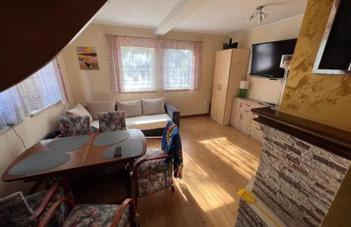 Kaszuby- Domek całoroczny nad Jeziorem Gowidlińskim - Foto 8