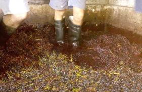 Casa reizinho - Foto 39