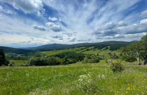 Filipówka - dom z sauną w Karkonoszach - Foto 39