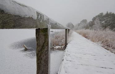 Ferienwohnung am Pietzmoor - Photo 24