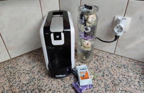 Margarita - Photo 26