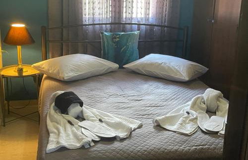 Talos House - Photo 8