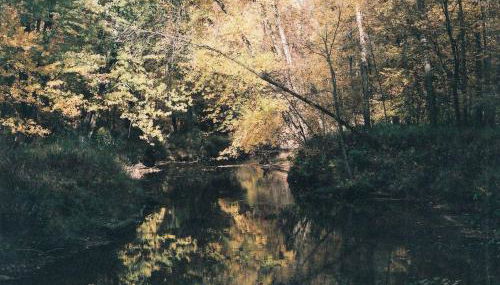 Cabin Surrounded by Sublime Nature near Lake Huron, Michigan - Foto 5