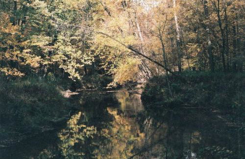 Cabin Surrounded by Sublime Nature near Lake Huron, Michigan - Foto 5