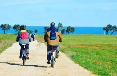 Casa Olivetto - Foto 29