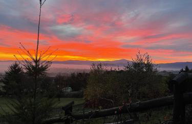 Mały Domek & Chatka Panorama - Foto 63