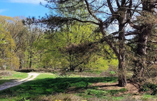 Villa in Overloon Near War Museum - Foto 8