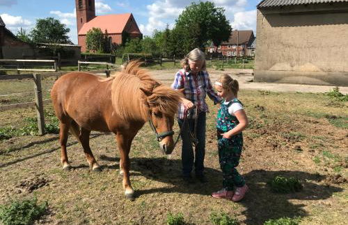 Haus Arendsee - Foto 27
