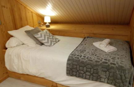 Le pic-vert - Foto 21