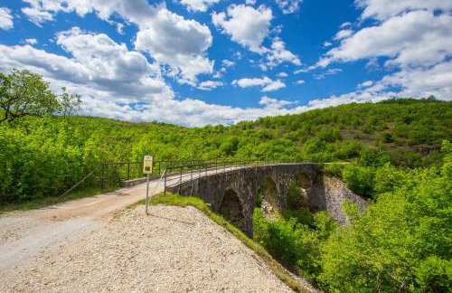 Villa Fiore Spinovci - Foto 40