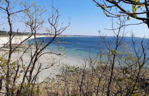 APPARTEMENT VUE PORT CROUESTY - Foto 7