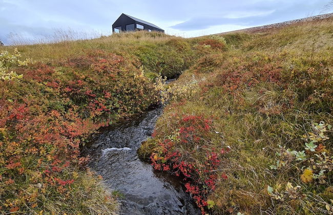 Svartaborg - Foto 43