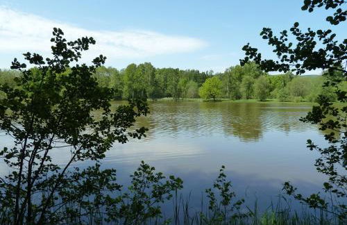 Ferienwohnung Gerken - Foto 19