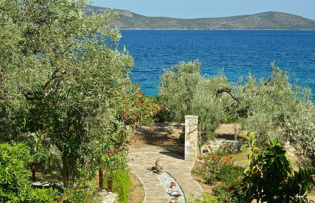 Flower Houses - Foto 36