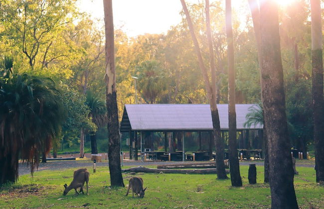 BIG4 Carnarvon Gorge Holiday Park - Foto 1