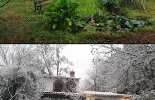 Huerto Fernandito - Foto 28