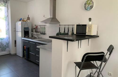 HOMEYPIC T3 en rez de jardin proche de Lyon - Foto 1