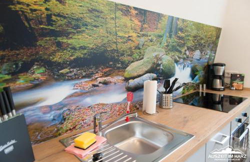 Auszeit-im-Harz Haus 2 Wohnung 3 - Foto 27