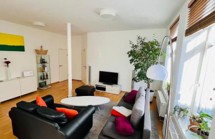 Großes und helles Innenstadt Apartment - Ferienwohnung - Foto 3
