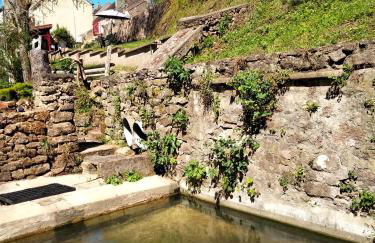 à l'orée du bois - Foto 17