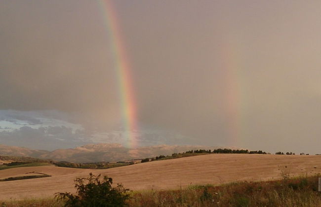 La Escuela del Campo - Photo 43