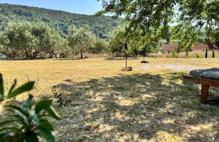 Dolce Terra - Photo 40