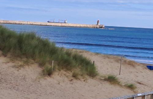 Sandhaven Beach Chalets - Foto 7