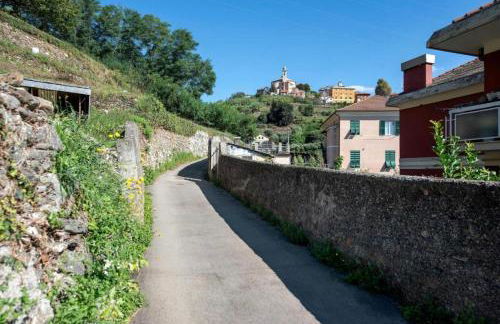 Cà Teodoi (citra 010025-LT-4173) - Photo 22