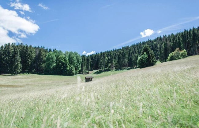 Ferienwohnung im Schwarzwald mit Garten - Foto 25