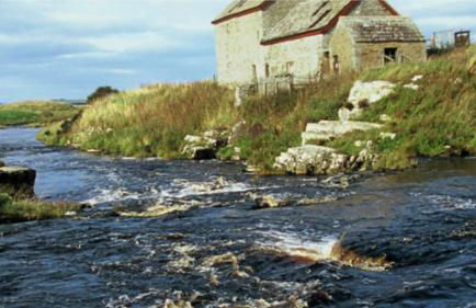 Ella's Hoose - Photo 17