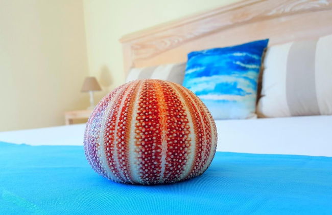 Brezza Marina Luxury Rooms - Foto 19